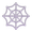 spider web